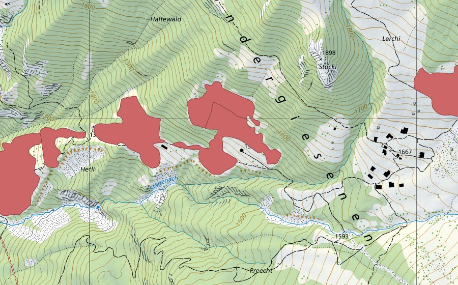 swisstopo national map showing the protected perimeter of Undere Giesene (Dry meadow)