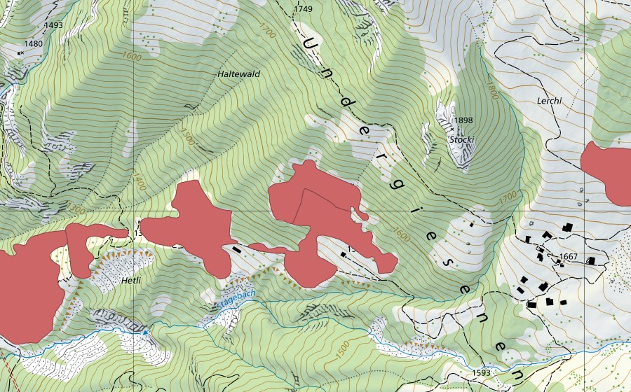 swisstopo national map showing the protected perimeter of Undere Giesene (Dry meadow)