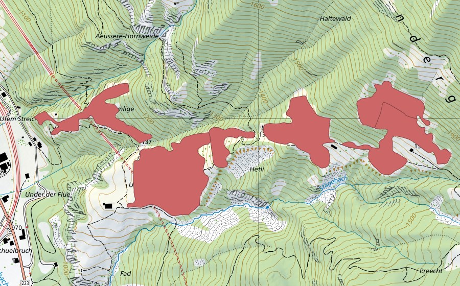 swisstopo national map showing the protected perimeter of Undere Giesene (Dry meadow)