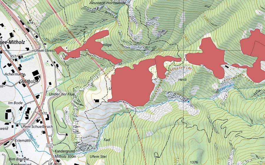 swisstopo national map showing the protected perimeter of Undere Giesene (Dry meadow)