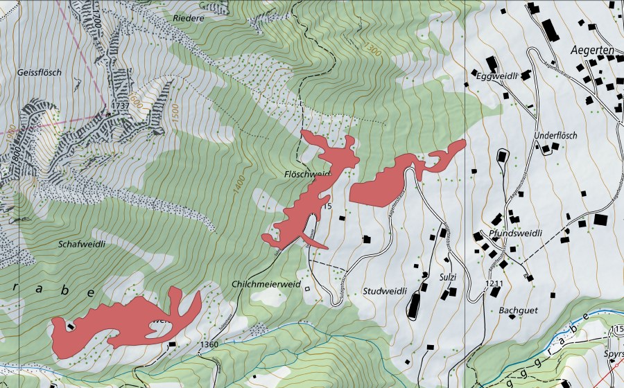 swisstopo national map showing the protected perimeter of Underflösch (Dry meadow)