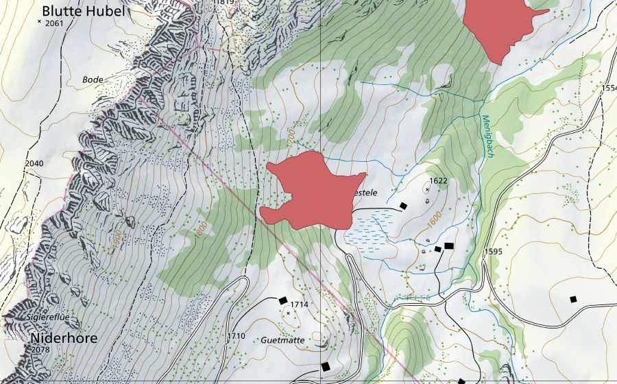 Landeskarte swisstopo mit dem Schutzperimeter von Undergestele (Trockenwiese)