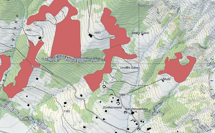 Landeskarte swisstopo mit dem Schutzperimeter von Unders Gälmi (Trockenwiese)
