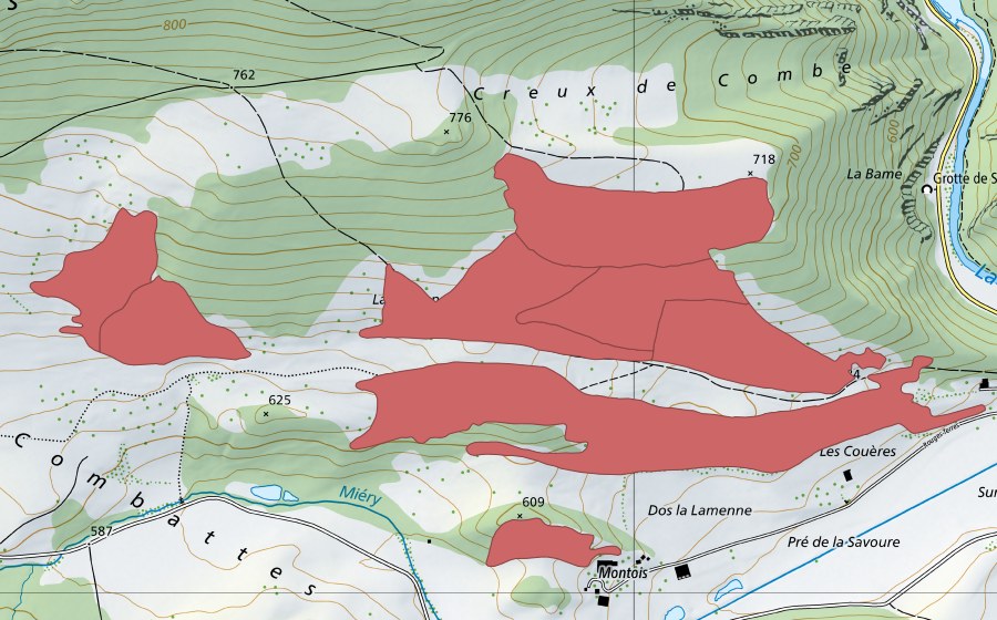 Landeskarte swisstopo mit dem Schutzperimeter von Undervelier (Trockenwiese)