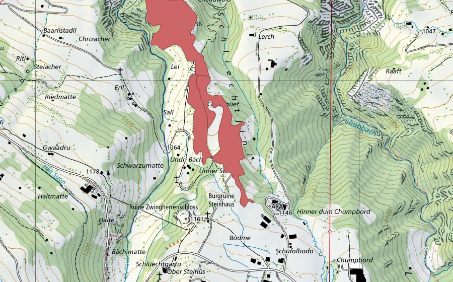 Landeskarte swisstopo mit dem Schutzperimeter von Undri Bächi (Trockenwiese)