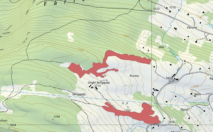 Landeskarte swisstopo mit dem Schutzperimeter von Undri Senggalp (Trockenwiese)