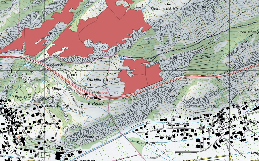 Landeskarte swisstopo mit dem Schutzperimeter von Unneri Brich (Trockenwiese)