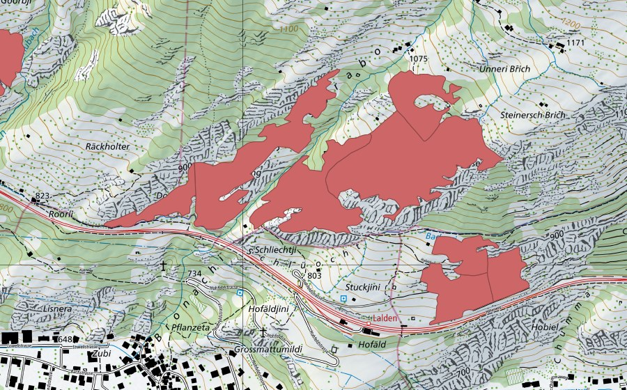 swisstopo national map showing the protected perimeter of Unneri Brich (Dry meadow)