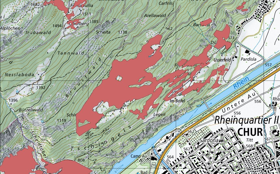 swisstopo national map showing the protected perimeter of Unter Fopp (Dry meadow)