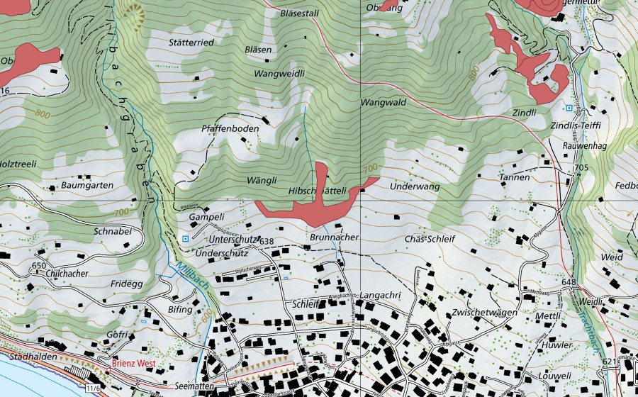 swisstopo national map showing the protected perimeter of Unter Schutz (Dry meadow)