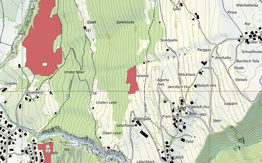 swisstopo national map showing the protected perimeter of Unter Spiel (Dry meadow)
