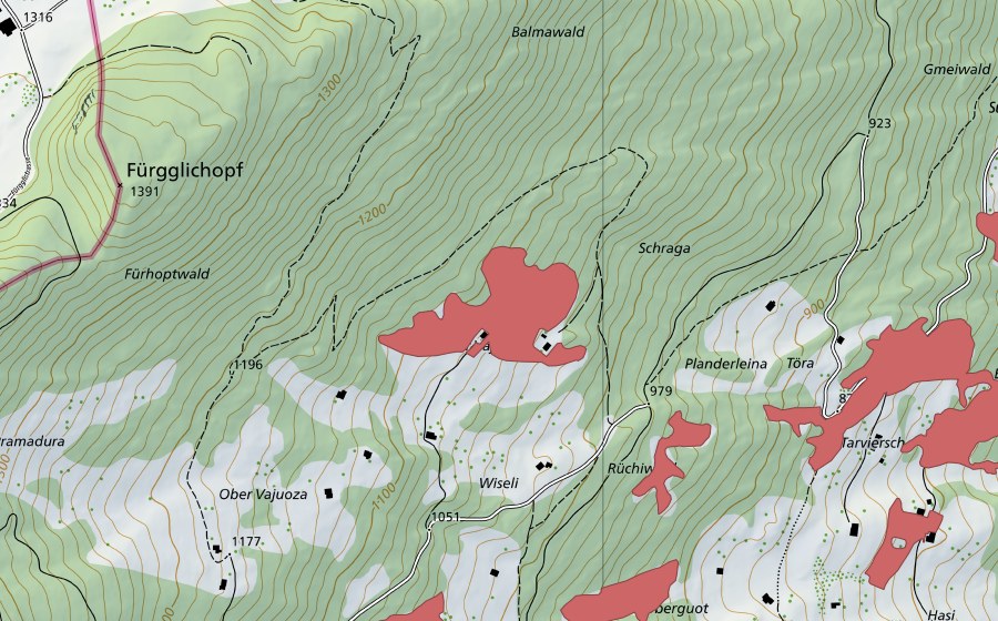swisstopo national map showing the protected perimeter of Unter Vajuoza (Dry meadow)