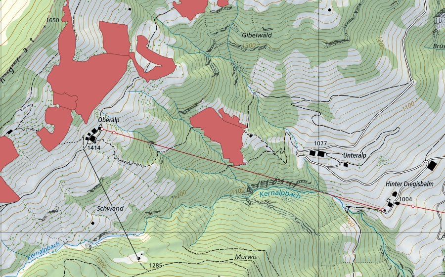 swisstopo national map showing the protected perimeter of Unteralp (Dry meadow)