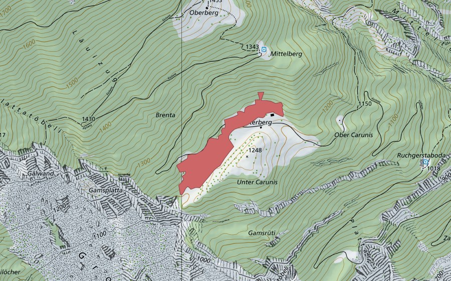 Landeskarte swisstopo mit dem Schutzperimeter von Unterberg (Trockenwiese)
