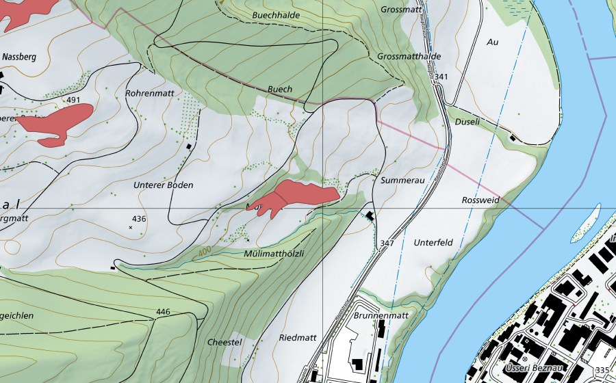 Landeskarte swisstopo mit dem Schutzperimeter von Unterboden (Trockenwiese)