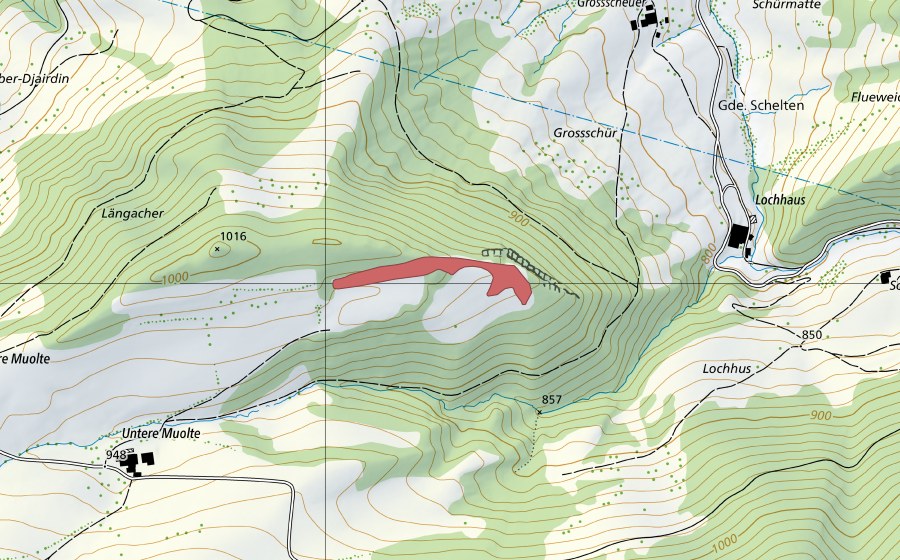 Landeskarte swisstopo mit dem Schutzperimeter von Untere Muolte (Trockenwiese)