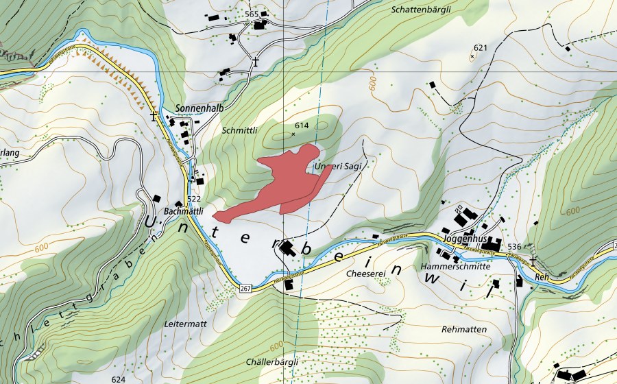 swisstopo national map showing the protected perimeter of Untere Säge (Dry meadow)