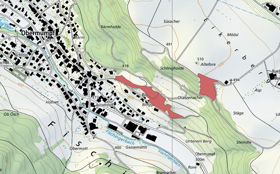 Landeskarte swisstopo mit dem Schutzperimeter von Unterem Berg (Trockenwiese)