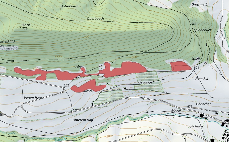 Landeskarte swisstopo mit dem Schutzperimeter von Unterem Hag (Trockenwiese)