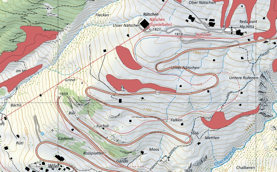 Carta nazionale swisstopo con il perimetro protetto di Unterer Nätschen (Prato secco)
