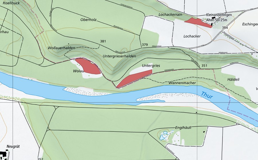 swisstopo national map showing the protected perimeter of Untergries (Dry meadow)