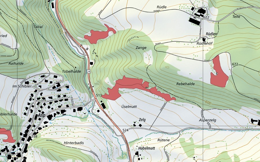 Landeskarte swisstopo mit dem Schutzperimeter von Üselmatt (Trockenwiese)