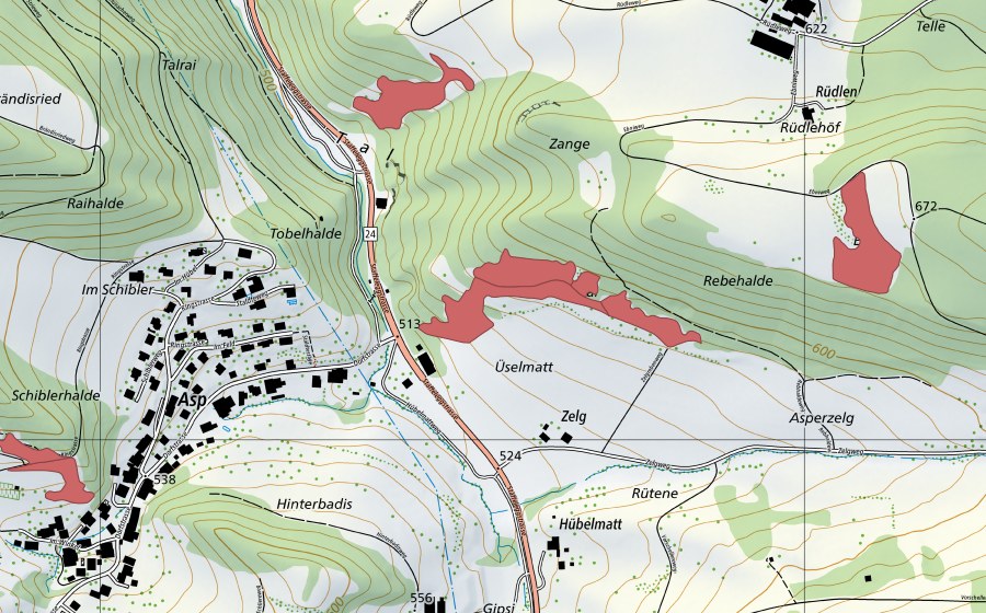 swisstopo national map showing the protected perimeter of Üselmatt (Dry meadow)