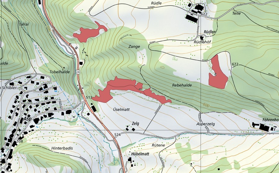 swisstopo national map showing the protected perimeter of Üselmatt (Dry meadow)
