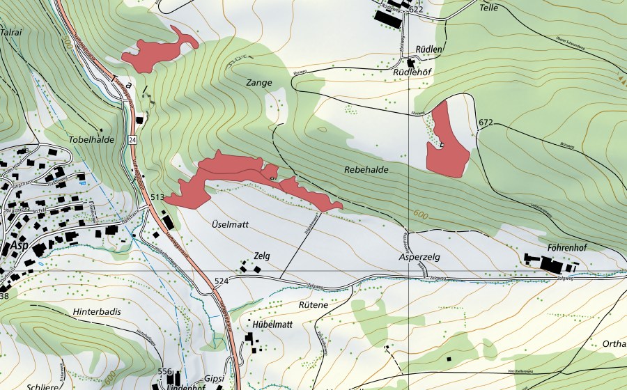 Landeskarte swisstopo mit dem Schutzperimeter von Üselmatt (Trockenwiese)