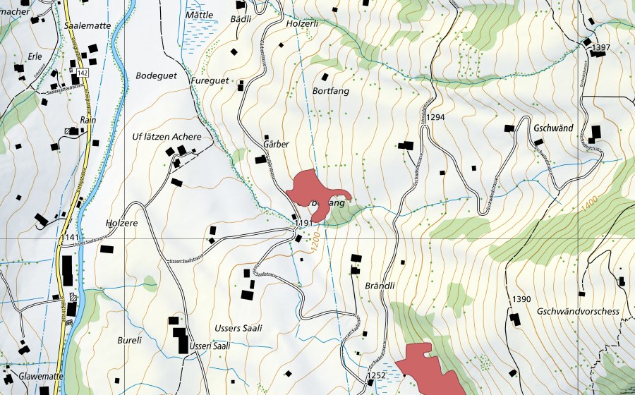 swisstopo national map showing the protected perimeter of Ussers Saali (Dry meadow)
