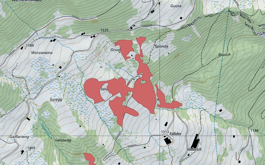 swisstopo national map showing the protected perimeter of Vadursch (Dry meadow)