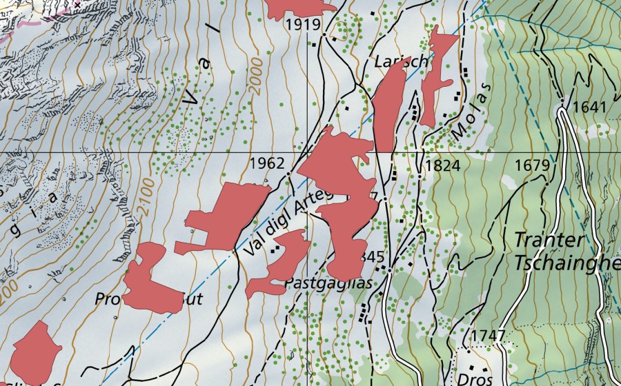 swisstopo national map showing the protected perimeter of Val digl Artegl (Dry meadow)