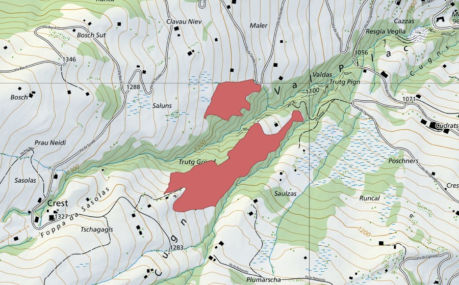 swisstopo national map showing the protected perimeter of Val Pilac (Dry meadow)