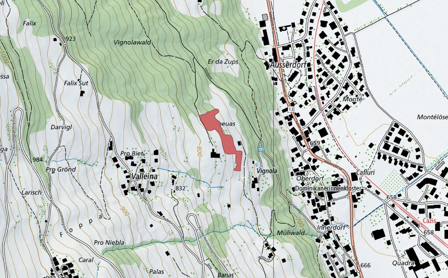 swisstopo national map showing the protected perimeter of Valleina (Dry meadow)