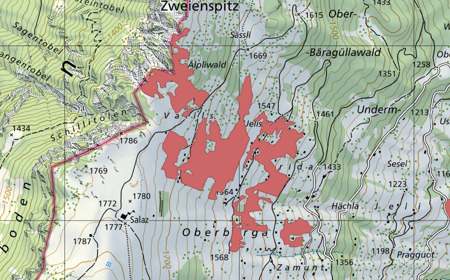 Landeskarte swisstopo mit dem Schutzperimeter von Vallils (Trockenwiese)