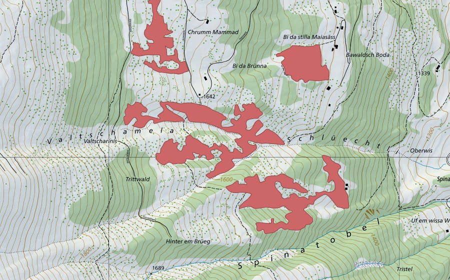 Landeskarte swisstopo mit dem Schutzperimeter von Valtschamela (Trockenwiese)