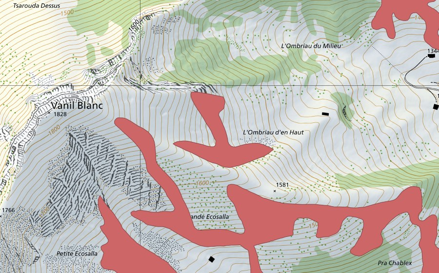 swisstopo national map showing the protected perimeter of Vanil Blanc (Dry meadow)