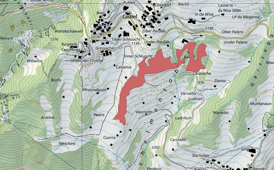 Carta nazionale swisstopo con il perimetro protetto di Vascrestis (Prato secco)