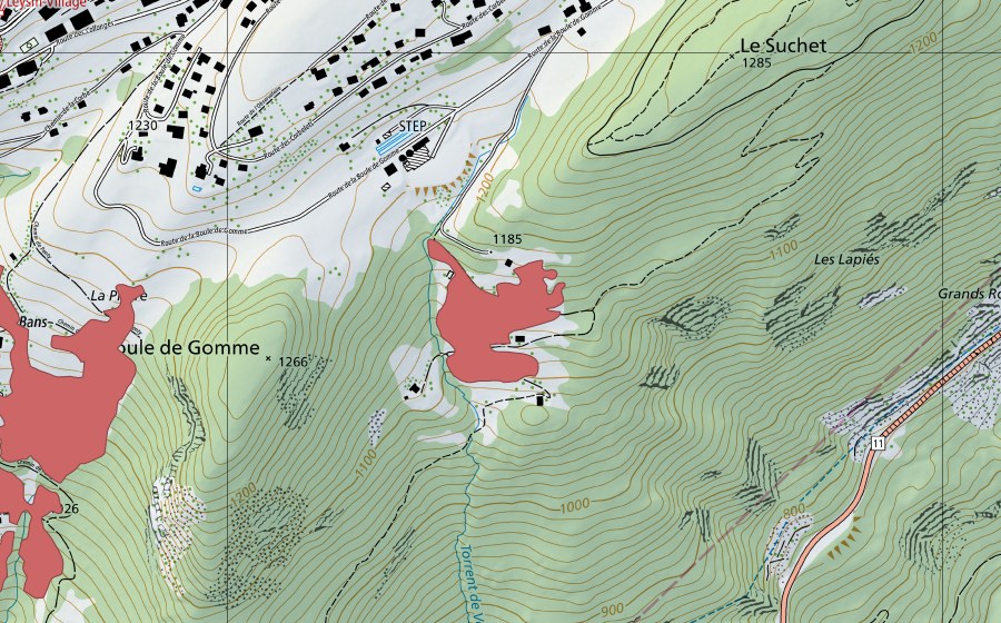 Landeskarte swisstopo mit dem Schutzperimeter von Velard (Trockenwiese)