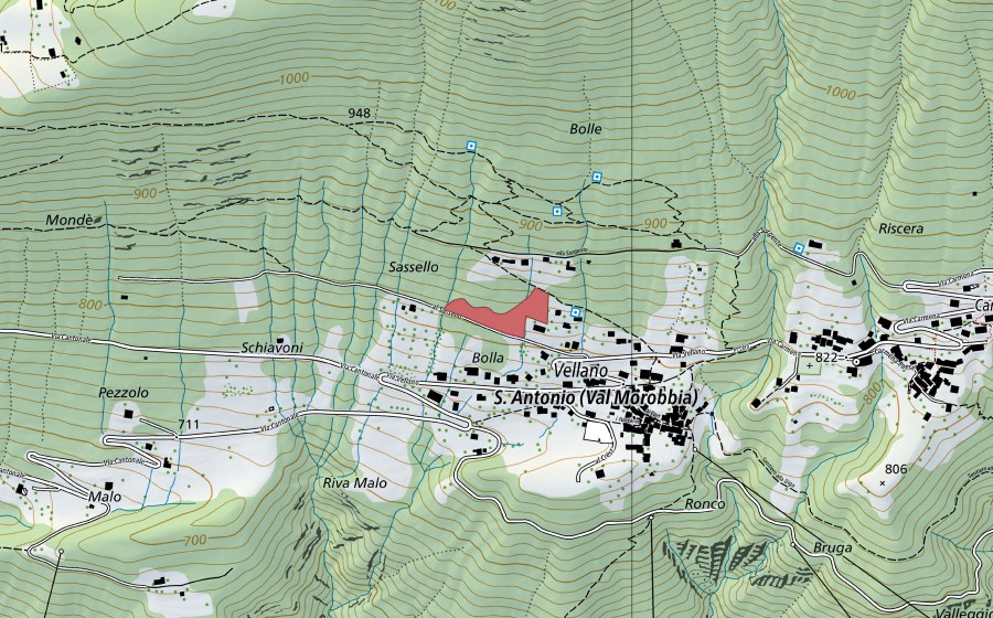 Landeskarte swisstopo mit dem Schutzperimeter von Vellano (Trockenwiese)