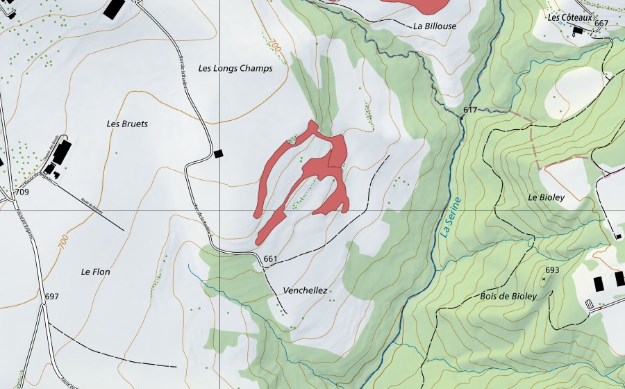 Landeskarte swisstopo mit dem Schutzperimeter von Venchellez (Trockenwiese)