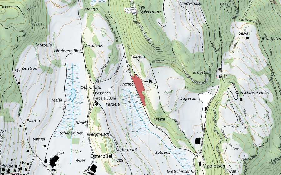 Carte nationale swisstopo avec le périmètre protégé de Verlüls (Prairie sèche)
