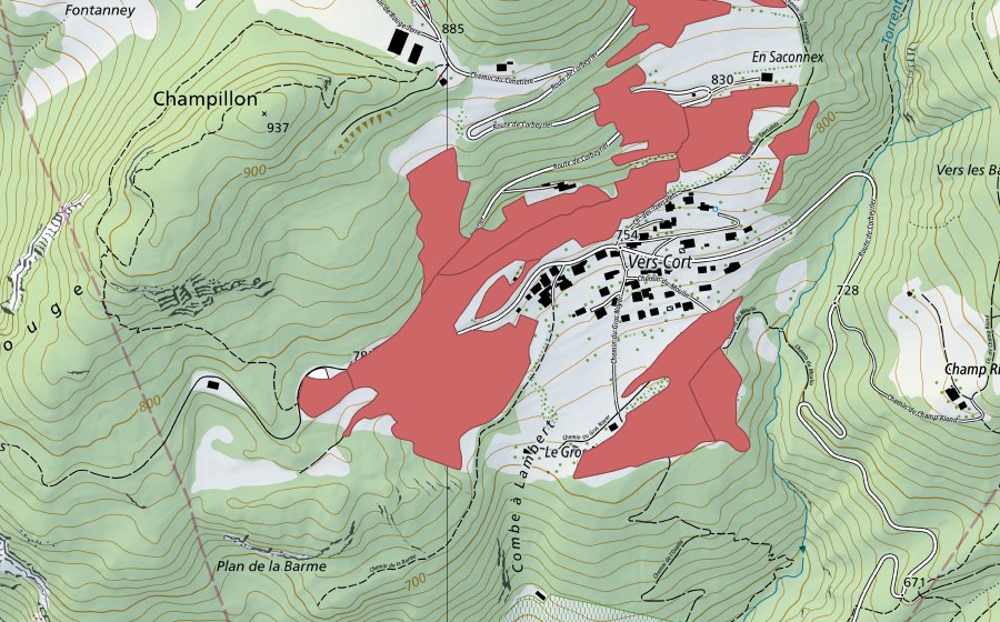 Landeskarte swisstopo mit dem Schutzperimeter von Vers Cort (Trockenwiese)