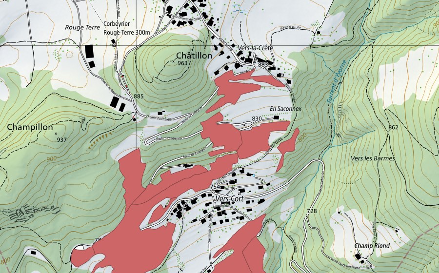 Landeskarte swisstopo mit dem Schutzperimeter von Vers Cort (Trockenwiese)