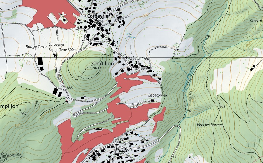 swisstopo national map showing the protected perimeter of Vers Cort (Dry meadow)
