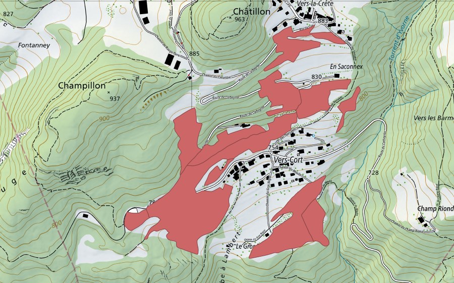 Landeskarte swisstopo mit dem Schutzperimeter von Vers Cort (Trockenwiese)