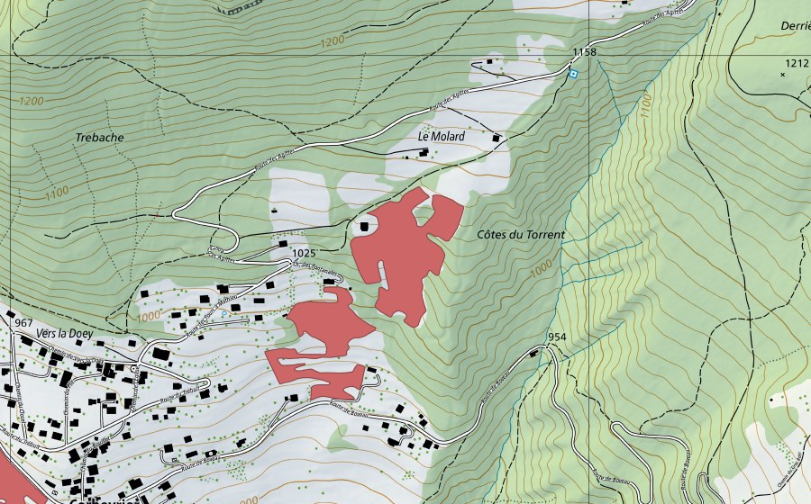 swisstopo national map showing the protected perimeter of Vers la Doey (Dry meadow)