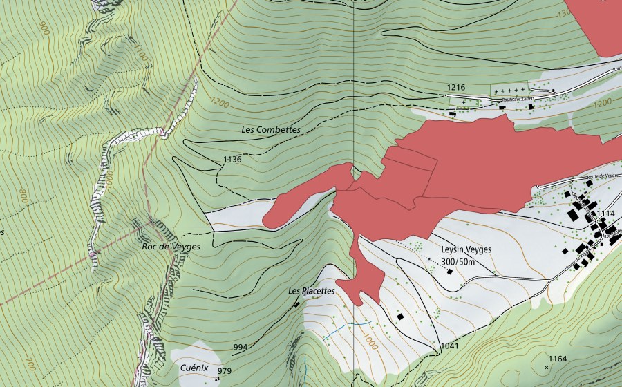 swisstopo national map showing the protected perimeter of Veyges (Dry meadow)