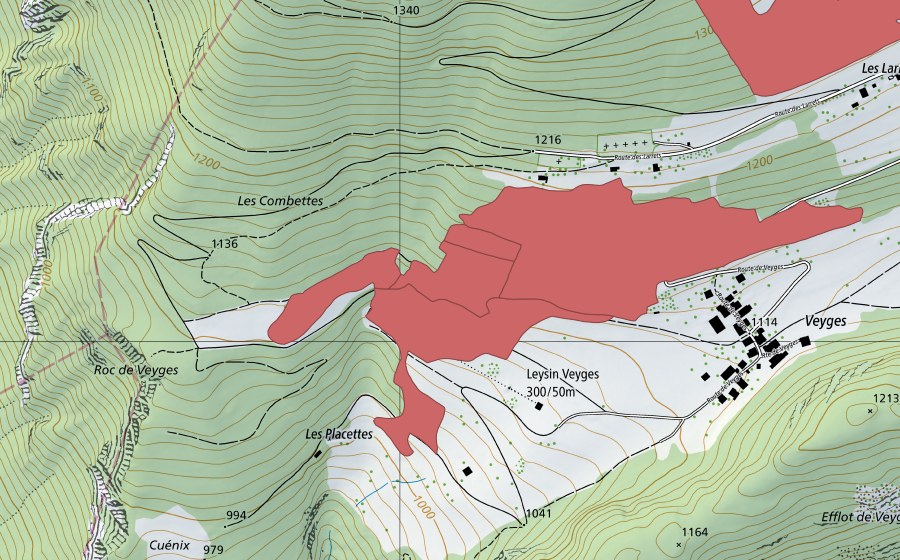 Landeskarte swisstopo mit dem Schutzperimeter von Veyges (Trockenwiese)