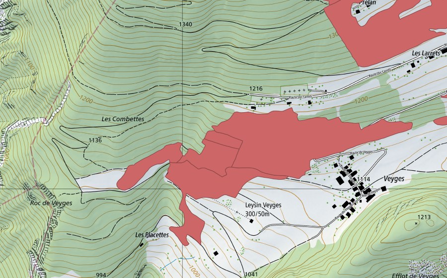 Landeskarte swisstopo mit dem Schutzperimeter von Veyges (Trockenwiese)